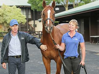 Lyndhurst Farm's Lot 280 sets a new record Sale price of $650,000. Photo: Trish Dunell.